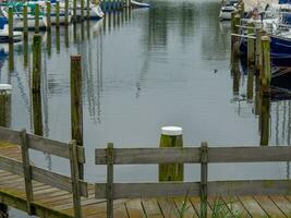 lemmer in de Nederland foto