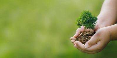 mvo-concept en bedrijf jonge boompjes planten