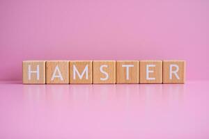 houten blokken het formulier de tekst hamster tegen een roze achtergrond. foto