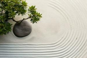 top visie van een rustig Japans zen tuin met voorzichtig geharkt grind lijnen en bonsai boom, vertegenwoordigen binnenste vrede en contemplatie. generatief ai foto