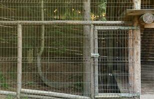 metaal rooster en klein Ingang in dierentuin gebied buitenshuis foto