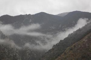 bergen in de mist