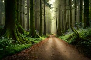 een aarde weg in een Woud met bomen en mos. ai-gegenereerd foto