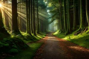 een pad door een Woud met zonnestralen schijnend door de bomen. ai-gegenereerd foto