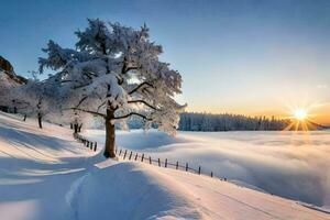 een boom in de sneeuw met de zon stijgende lijn achter het. ai-gegenereerd foto