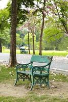 houten groene stoel in park foto