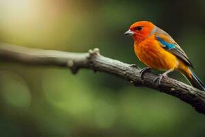 een kleurrijk vogel zit Aan een Afdeling. ai-gegenereerd foto