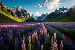 een veld- van Purper bloemen en bergen in de achtergrond. ai-gegenereerd foto