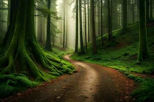 een pad door een groen Woud met bomen en mist. ai-gegenereerd foto