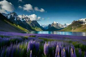 de lupine bloemen zijn bloeiend in voorkant van de bergen. ai-gegenereerd foto