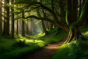 een pad door een groen Woud met bomen en gras. ai-gegenereerd foto