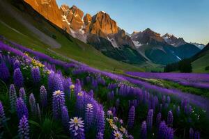 een mooi Purper veld- van bloemen en bergen. ai-gegenereerd foto