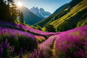 de zon schijnt Aan een lavendel veld- in de bergen. ai-gegenereerd foto