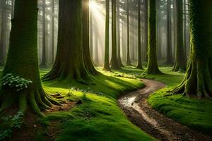 een pad door een Woud met bomen en gras. ai-gegenereerd foto