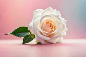 wit roos Aan roze achtergrond. ai-gegenereerd foto
