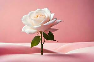 een single wit roos Aan een roze achtergrond. ai-gegenereerd foto