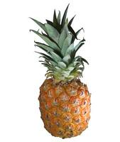 ananas op wit foto