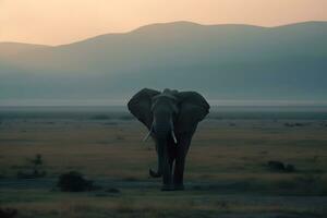 olifant in de woestijn. neurale netwerk ai gegenereerd foto