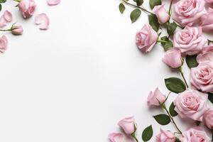 dichtbij omhoog van bloeiend roze rozen bloemen en bloemblaadjes geïsoleerd Aan wit tafel achtergrond. bloemen kader samenstelling. decoratief web spandoek. leeg ruimte, vlak leggen, top visie. ai generatief foto