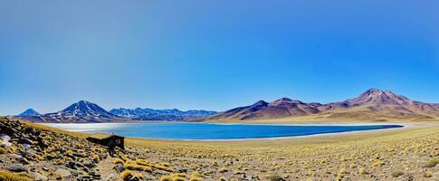 miscanti altiplanisch lagune in de atacama woestijn - san pedro de atacama. foto