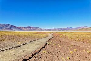 piedra's rojas - atacama woestijn - san pedro de atacama. foto