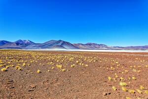 piedra's rojas - atacama woestijn - san pedro de atacama. foto