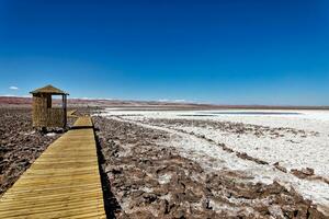 landschap van de verborgen baltinapijn lagunes - atacama woestijn - Chili. foto