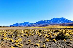 landschappen Aan de manier naar de altiplanisch lagunes in de atacama woestijn - san pedro de atacama - Chili foto