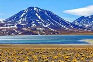 miscanti altiplanisch lagune in de atacama woestijn - san pedro de atacama. foto