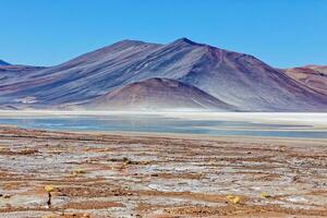 piedra's rojas - atacama woestijn - san pedro de atacama. foto