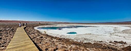 landschap van de verborgen baltinapijn lagunes - atacama woestijn - Chili. foto