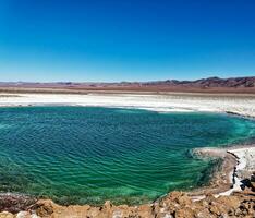 landschap van de verborgen baltinapijn lagunes - atacama woestijn - Chili. foto