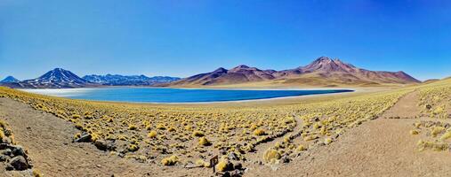 miscanti altiplanisch lagune in de atacama woestijn - san pedro de atacama. foto