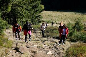 Karpaten bergen, Oekraïne - oktober 8, 2022 monteren hoverla. Karpaten in Oekraïne in herfst foto