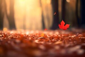 rood bladeren vallend in Woud, zonlicht gefilterd herfst achtergrond ai generatief beeld foto