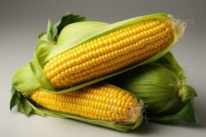 foto's van maïs in binnen- foto studio ai gegenereerd