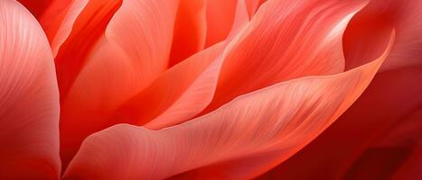 macro schoonheid van een single tulp. ai generatief foto