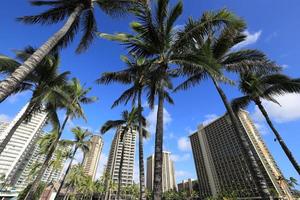 luxe hotels en palmbomen op Waikiki Beach, Hawaï foto