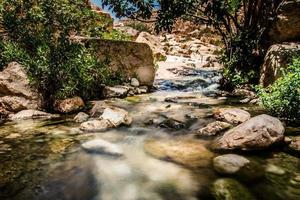kleine rivier in Israël foto