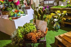 bloemenfestival in girona temps de flors, spanje. 2018 foto