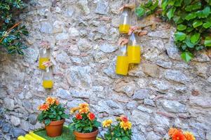 bloemenfestival in girona temps de flors, spanje. 2018 foto