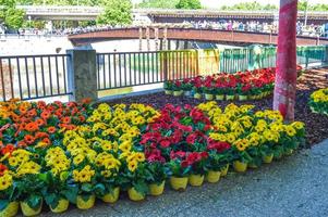 bloemenfestival in girona temps de flors, spanje. 2018 foto