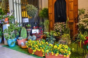 bloemenfestival in girona temps de flors, spanje. 2018 foto