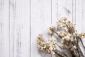 gedroogde witte bloemen op wit hout foto