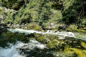 een rivier- vloeiende door een Woud met rotsen en bomen foto