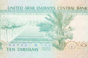 datum palm van Verenigde Arabisch emiraten geld foto