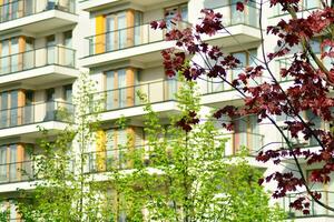 sier- struiken en planten in de buurt een woon- stad huis foto