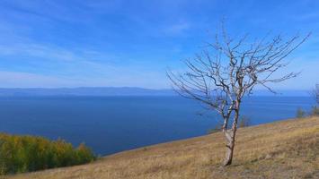 het baikal-eiland van het meer olkhon in een zonnige dag, irkutsk, rusland foto