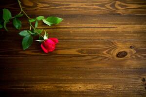 een rood mooi bloeiend roos Aan een houten tafel foto