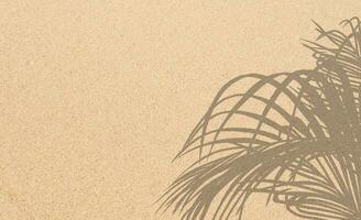 zand strand structuur achtergrond met kokosnoot palm bladeren schaduw en zonlicht, natuur zee strand zanderig met tropisch blad overlay, bovenaan visie woestijn zand klaar, spandoek voor zomer vakantie vakantie concept foto